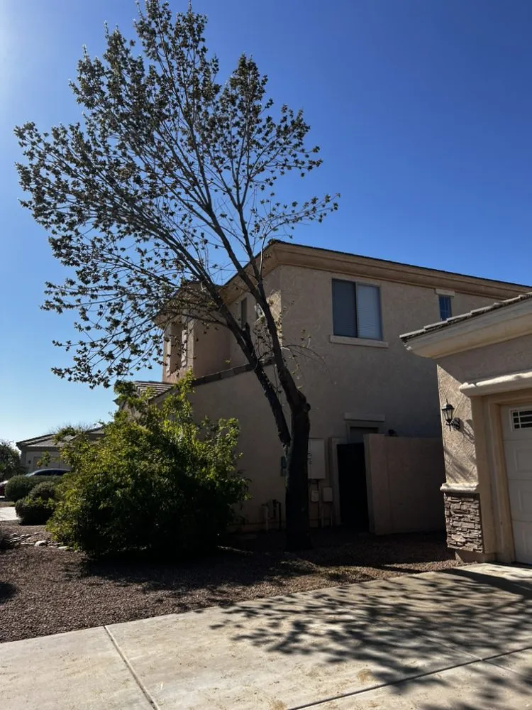 Trusted landscape design in Chandler, AZ - Pit’s Scape