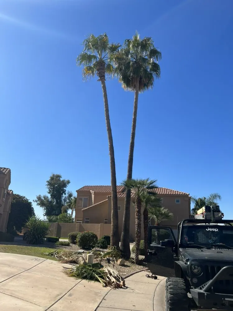 Custom landscape installation for outdoor upgrades across Chandler, AZ - Pit’s Scape