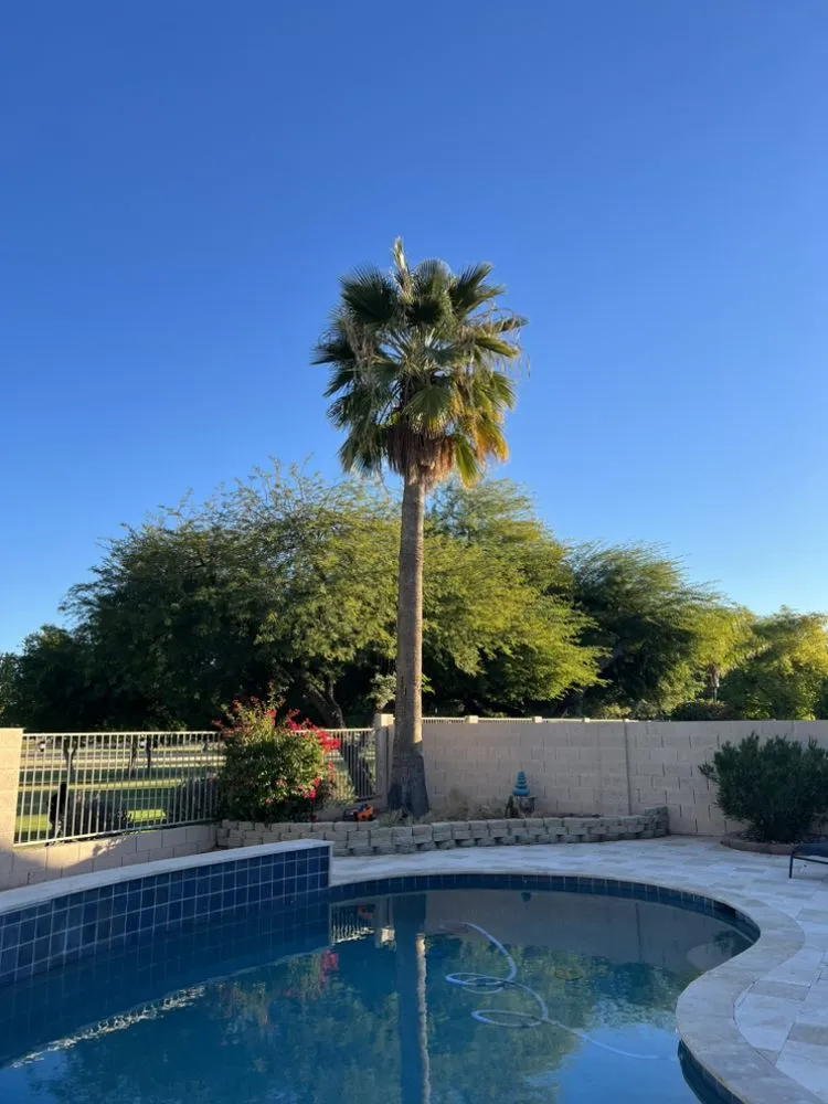 Professional outdoor landscaping experts serving Chandler, AZ - Pit’s Scape