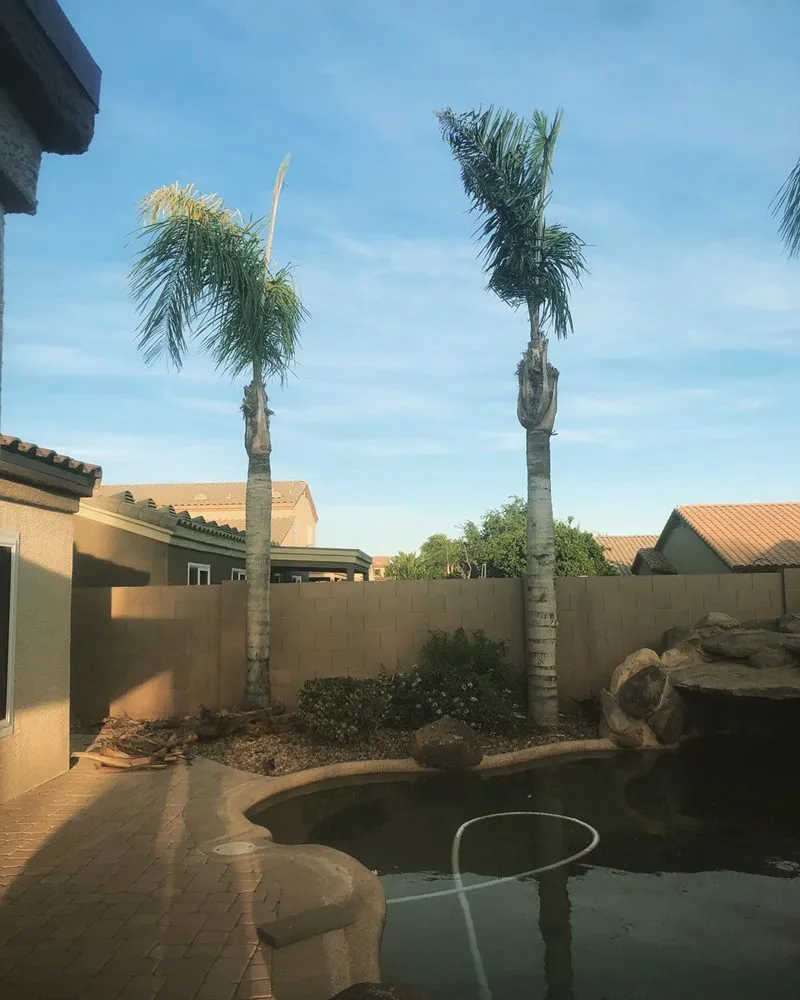 Custom outdoor landscaping near you in Chandler, AZ by Pit’s Scape