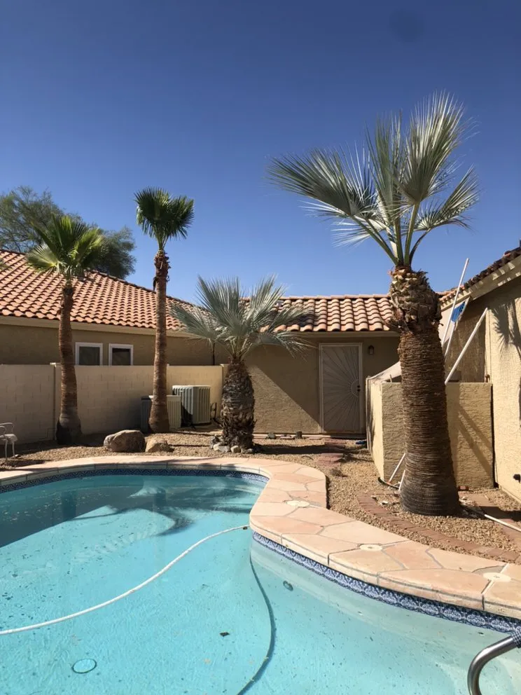 Local yard maintenance in Chandler, AZ by Pit’s Scape