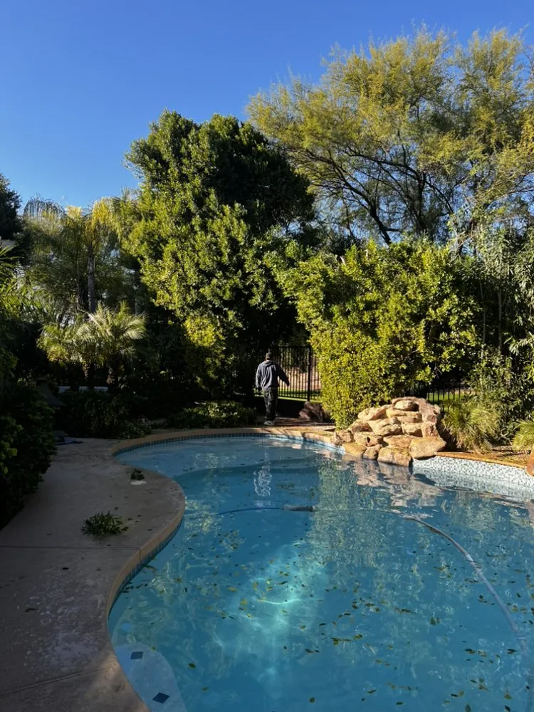 Trusted lawn care service with custom design across Chandler, AZ - Pit’s Scape