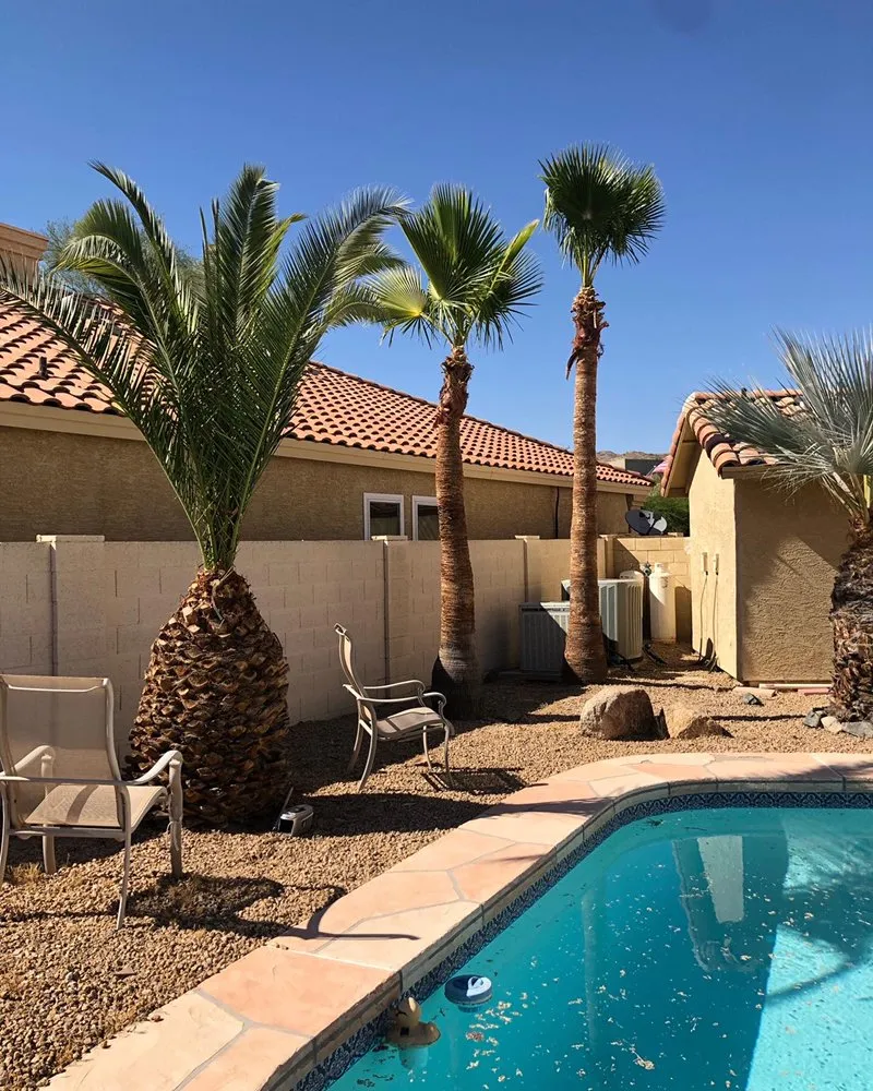 Reliable landscape installation in Chandler, AZ by Pit’s Scape