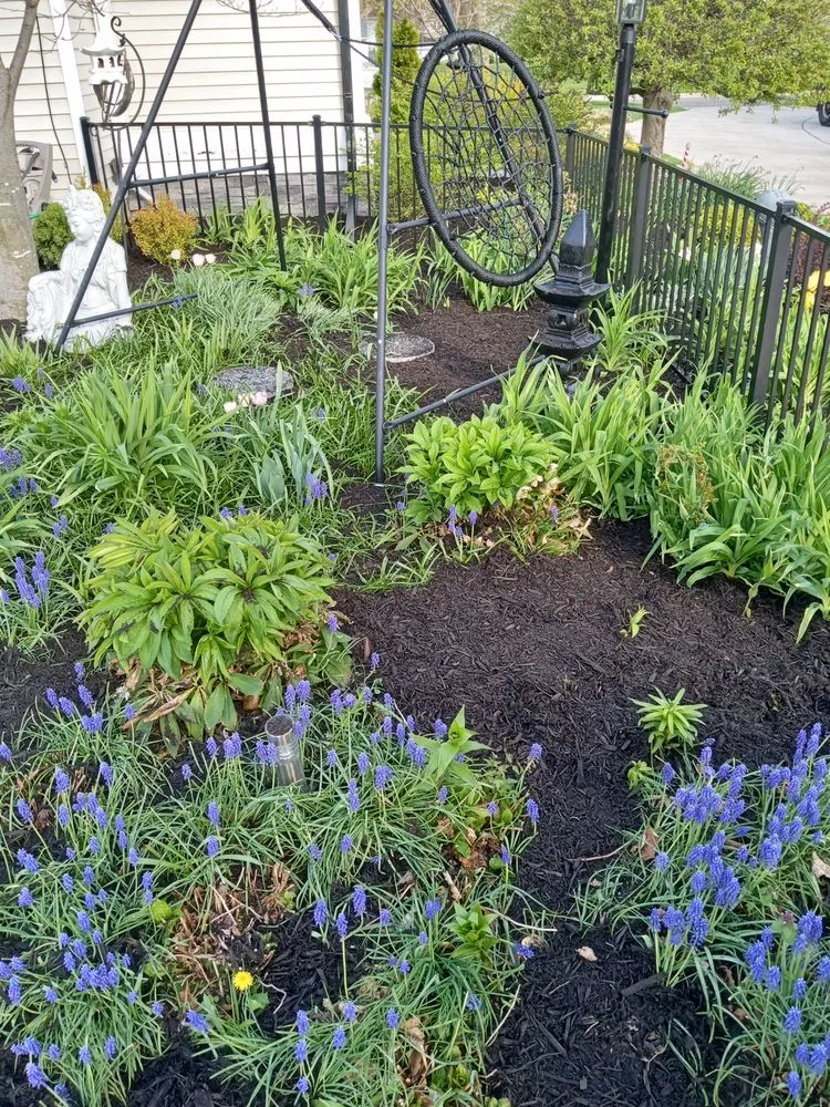 Professional yard cleanup service for outdoor upgrades in Monroe, MI by Pitt Sub Contracting