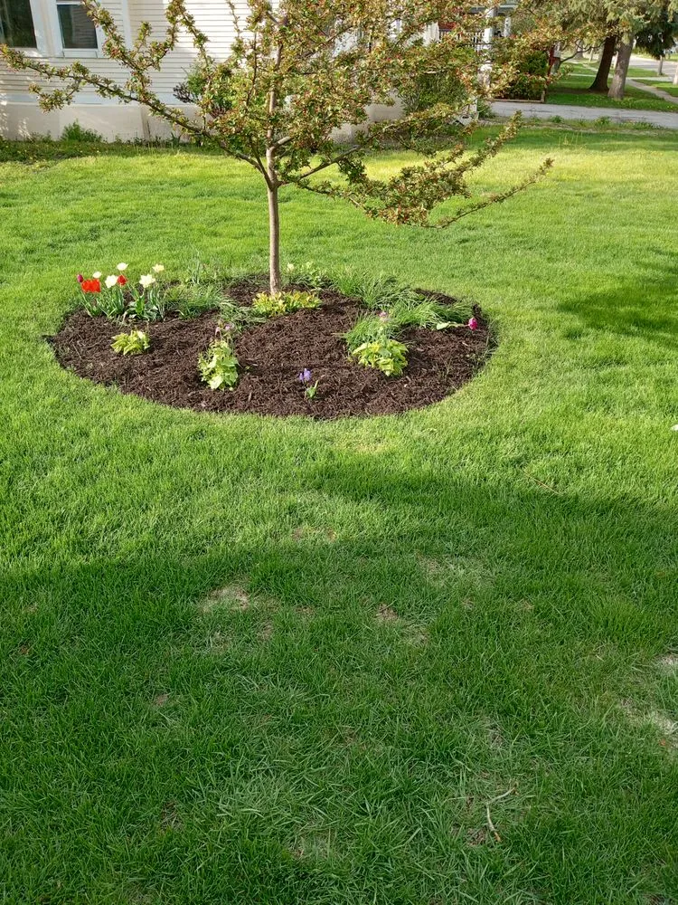 Affordable lawn care service in Monroe, MI - Pitt Sub Contracting