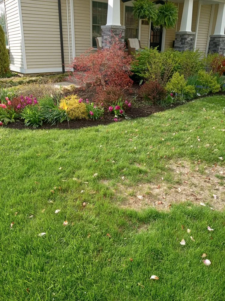 Trusted lawn care service experts serving Monroe, MI - Pitt Sub Contracting