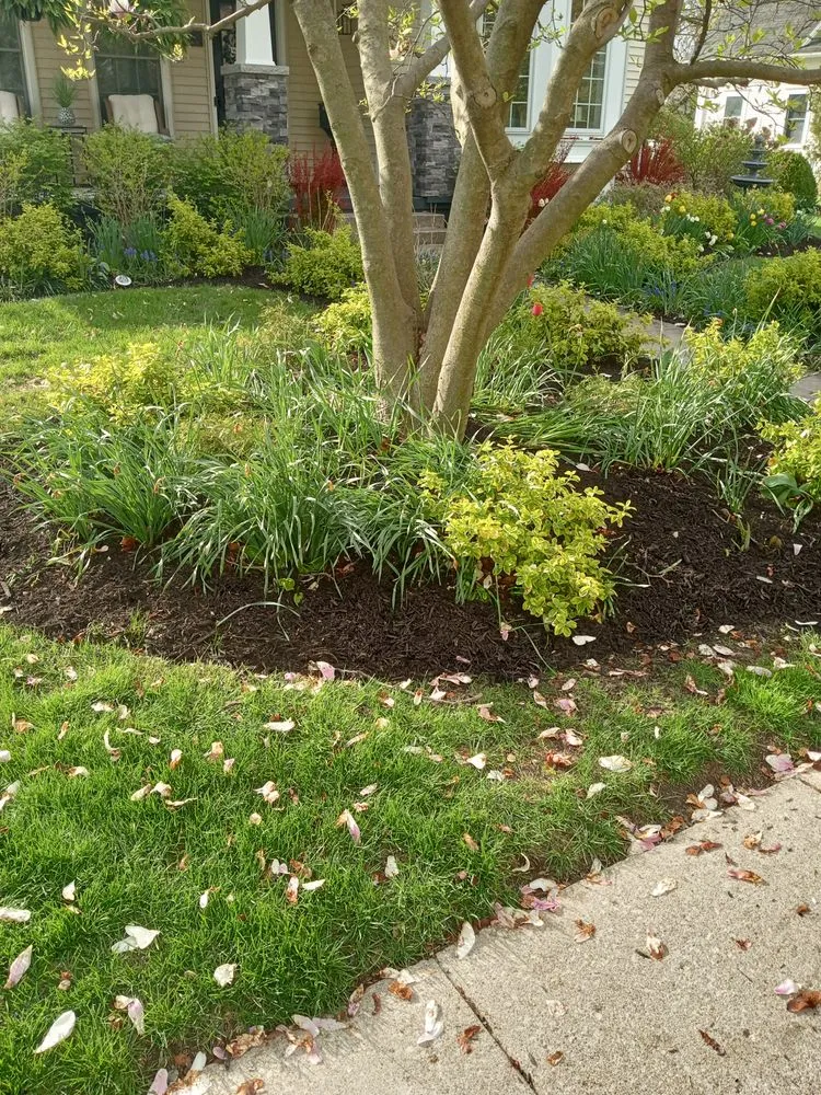 Reliable yard cleanup service in Monroe, MI - Pitt Sub Contracting