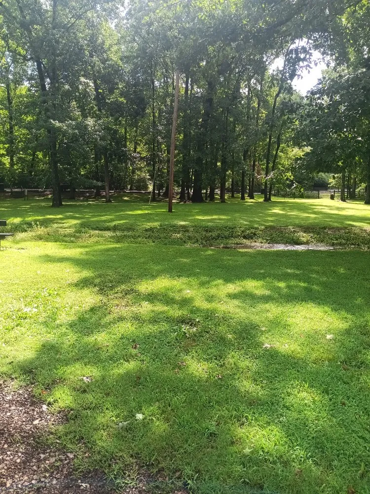 Professional outdoor landscaping in Oakboro, NC by Pittman Lawn Care and Small Engine Repair