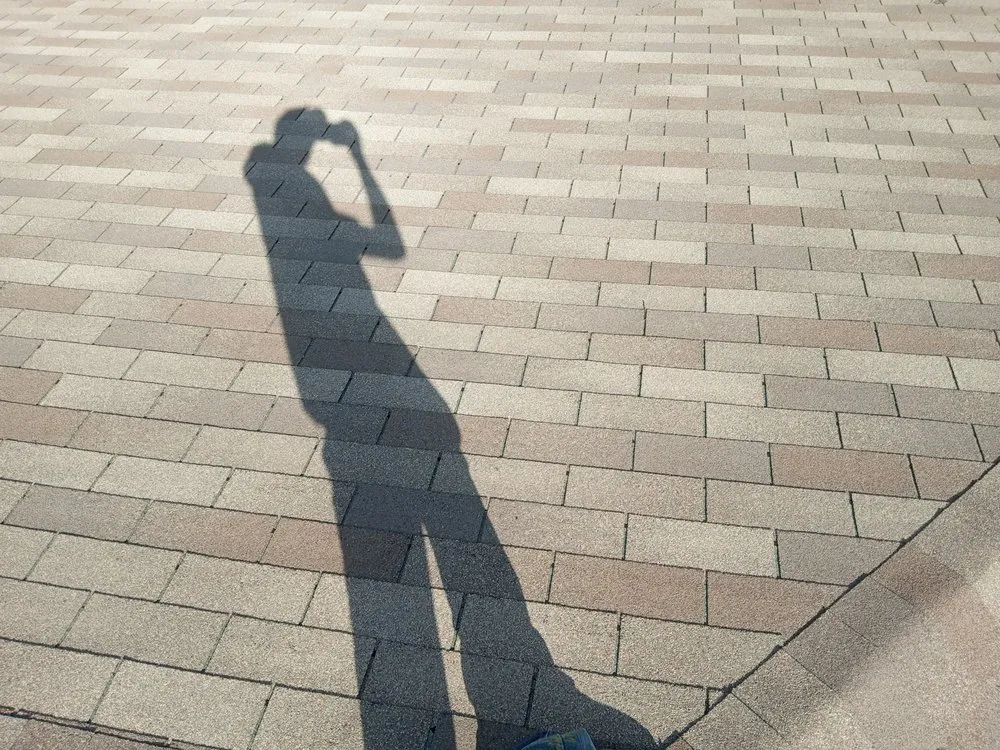 Trusted outdoor landscaping for residential properties across Elm City, NC - Pittman's Land and Home Renovations