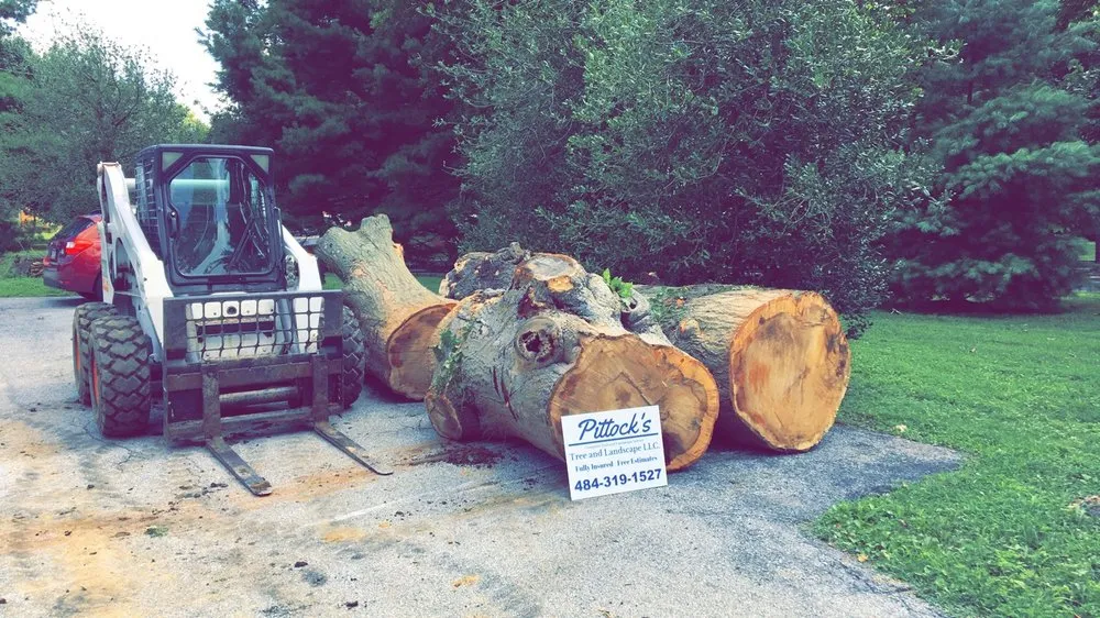 Reliable landscaping services for year-round maintenance in West Chester, PA by Pittock's Tree and Landscape