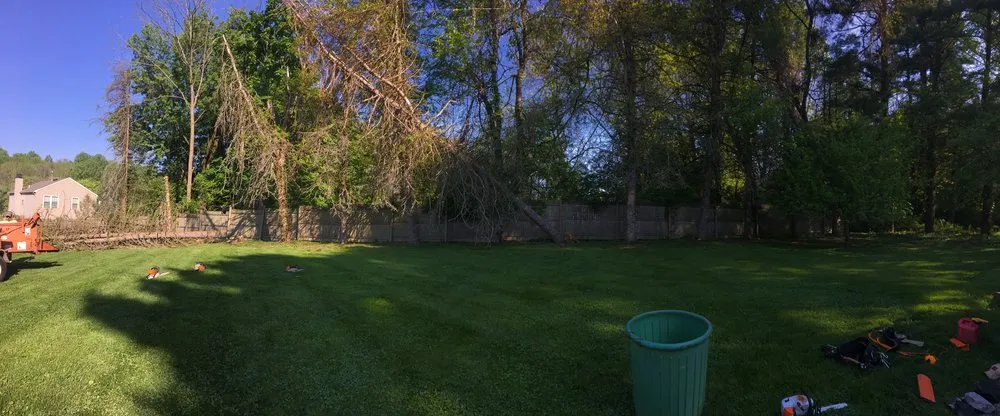 Reliable residential landscaping in West Chester, PA by Pittock's Tree and Landscape