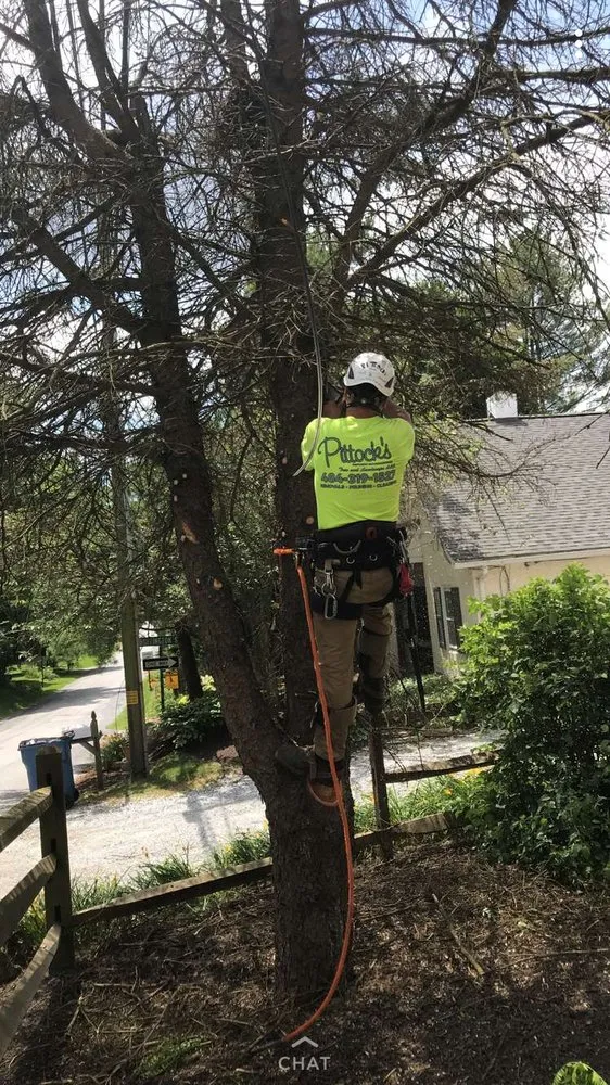 Custom landscape installation experts serving West Chester, PA - Pittock's Tree and Landscape