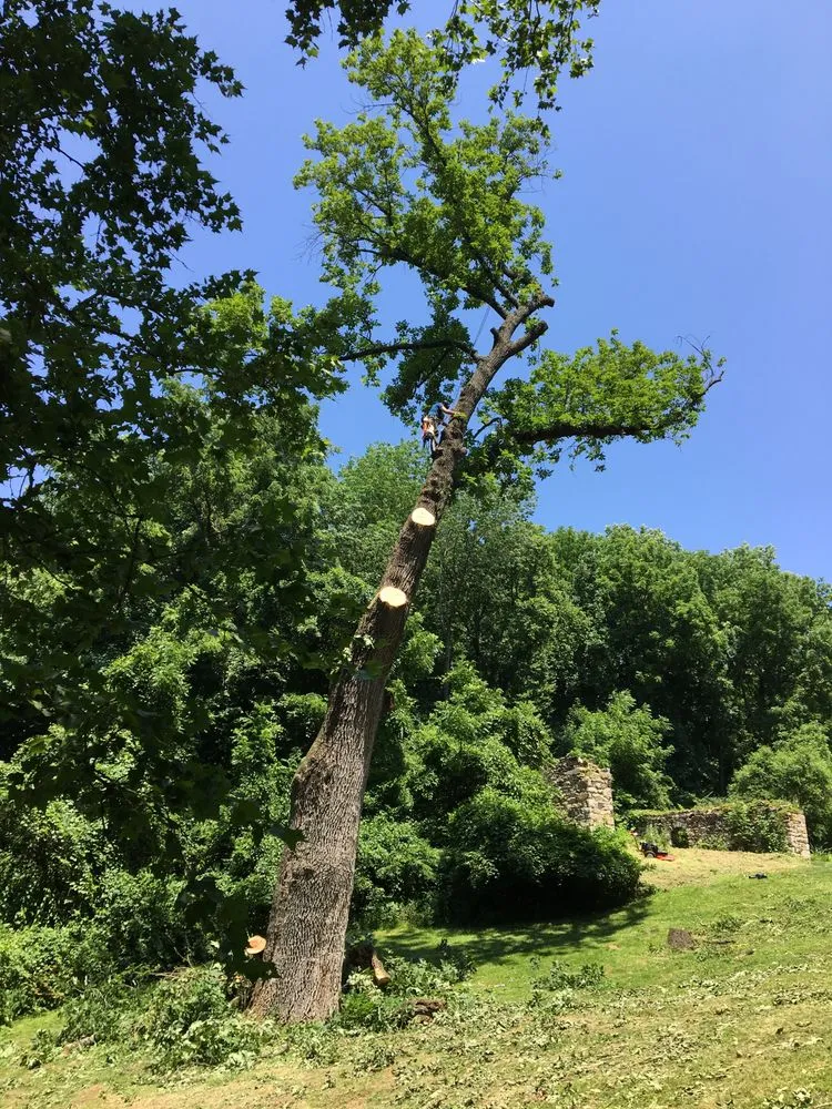 Local landscaping services in West Chester, PA - Pittock's Tree and Landscape