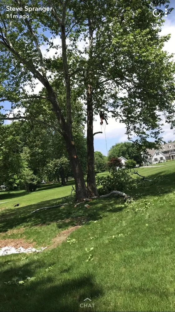 Trusted yard maintenance experts serving West Chester, PA - Pittock's Tree and Landscape