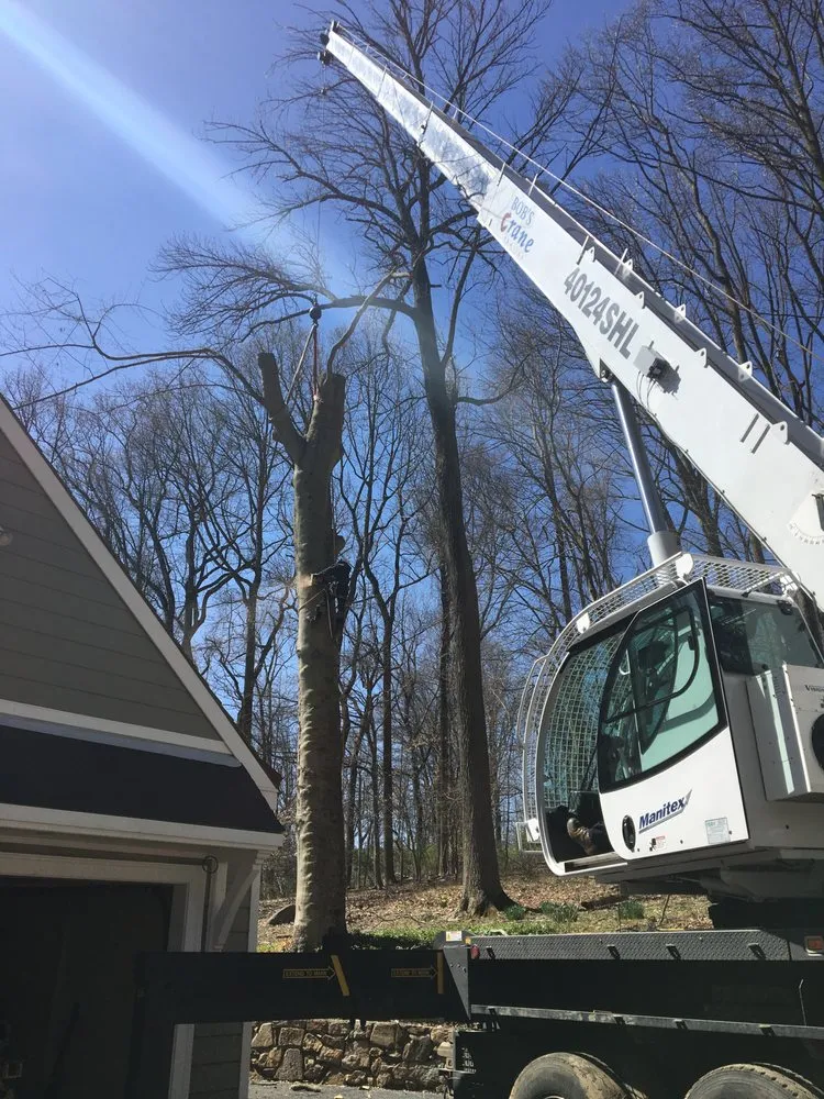 Top-rated lawn care service in West Chester, PA - Pittock's Tree and Landscape