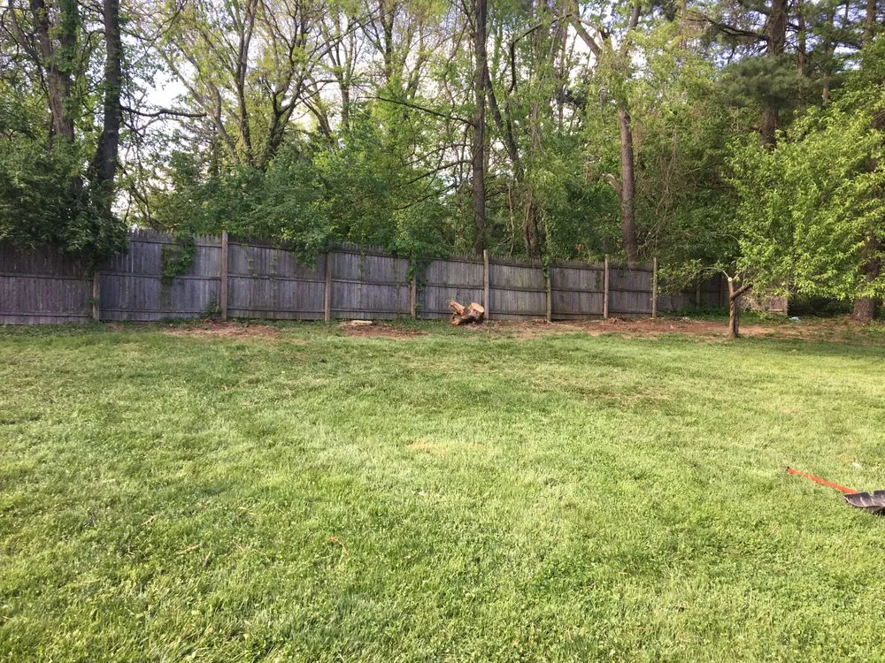 Expert residential landscaping in West Chester, PA - Pittock's Tree and Landscape