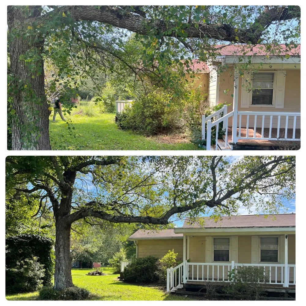 Professional landscape installation in Etoile, TX by Pitts And Son Lawn Care