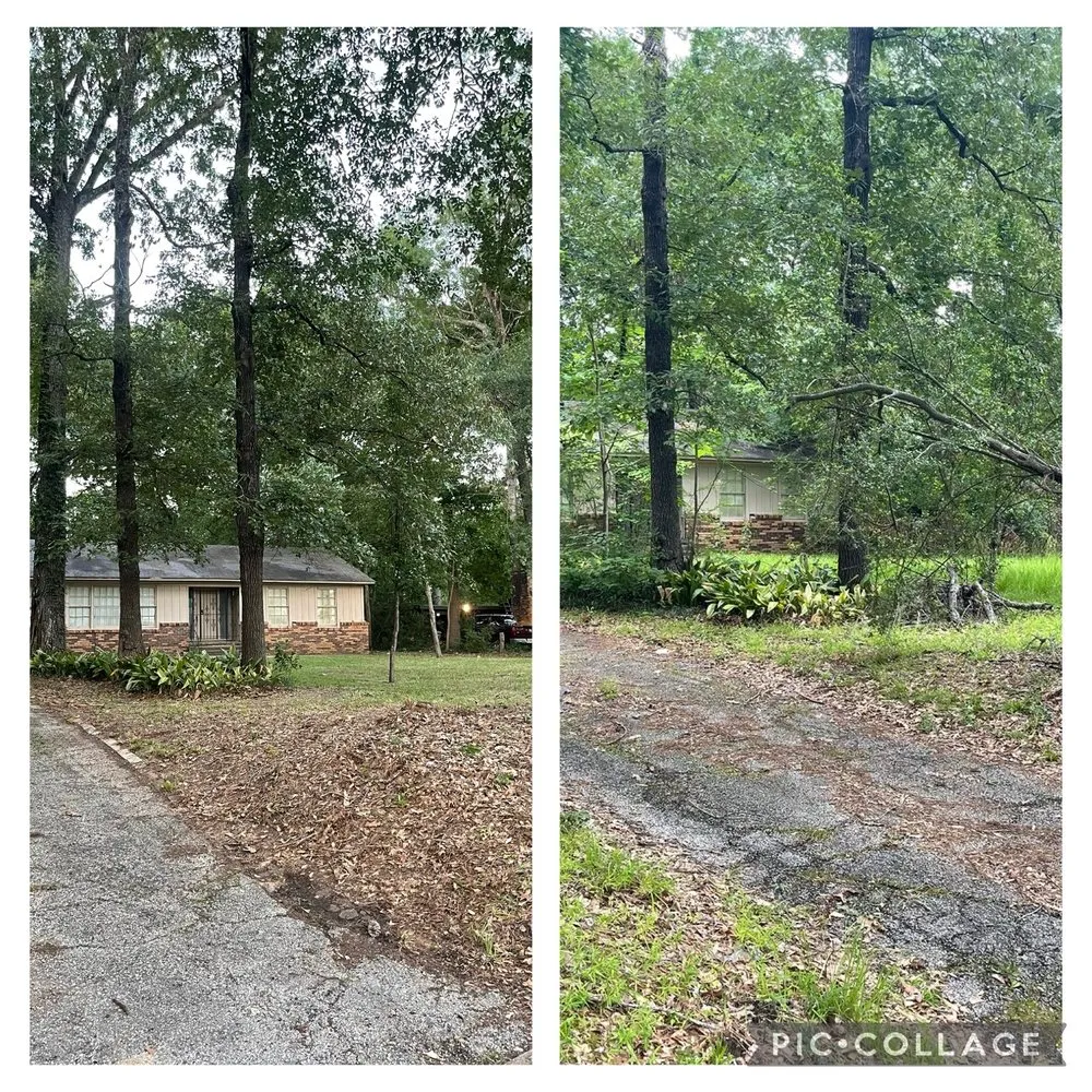 Top-rated outdoor landscaping for residential properties across Etoile, TX - Pitts And Son Lawn Care
