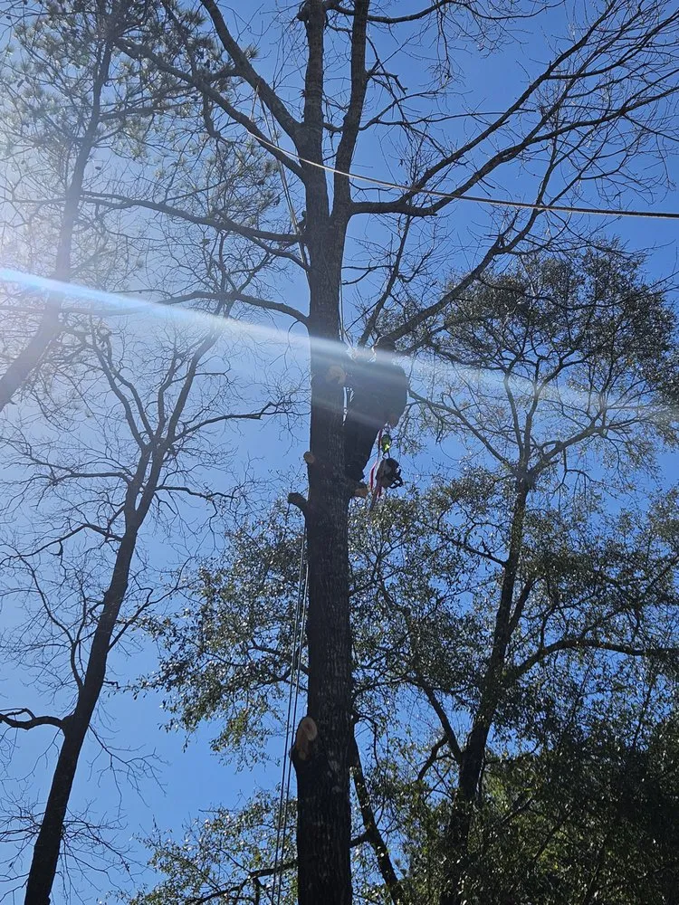 Custom landscape design for year-round maintenance across Montgomery, AL - Pitts Landscaping and Tree Service