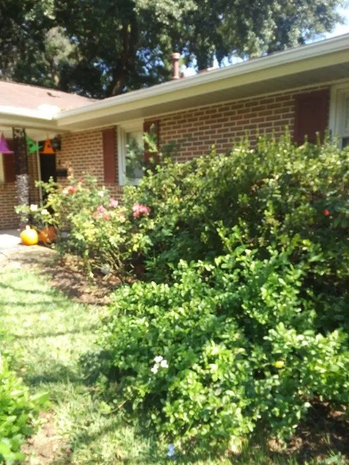 Professional yard maintenance experts serving Montgomery, AL - Pitts Landscaping and Tree Service