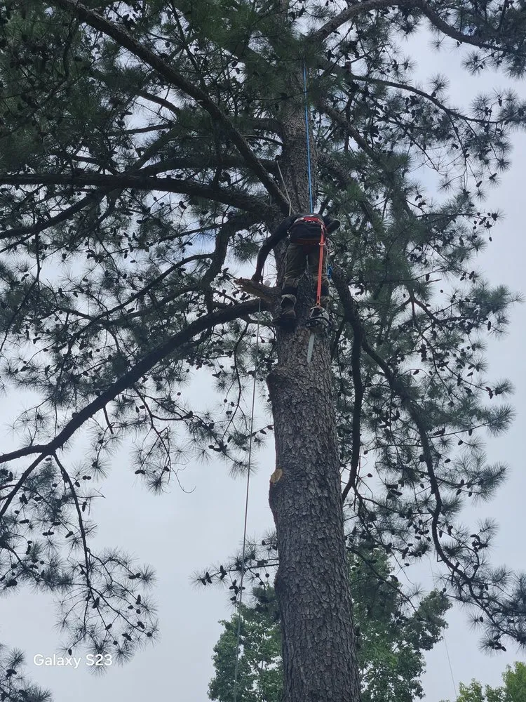 Expert lawn mowing service with custom design across Montgomery, AL - Pitts Landscaping and Tree Service