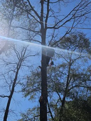 Pitts Landscaping and Tree Service Logo