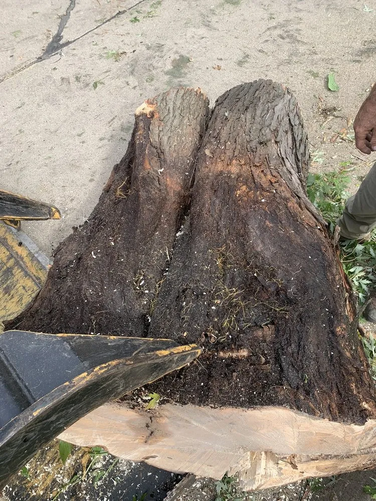 Affordable yard maintenance for outdoor upgrades across Huxley, IA - Pitts Lawn & Tree Service