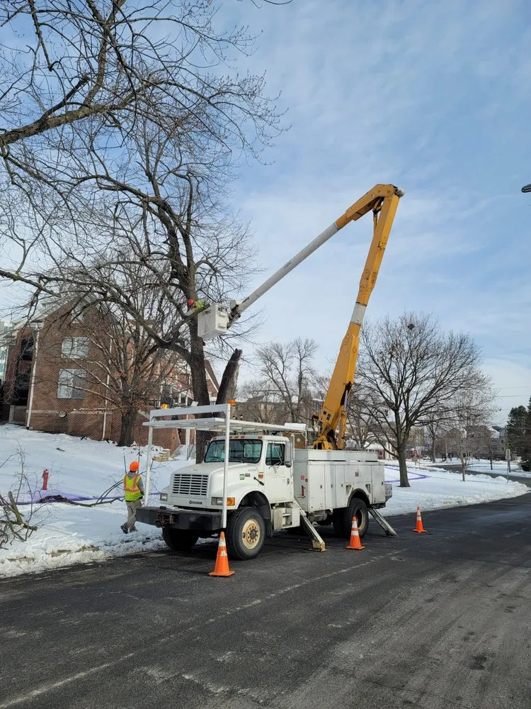 Professional outdoor landscaping experts serving Huxley, IA - Pitts Lawn & Tree Service