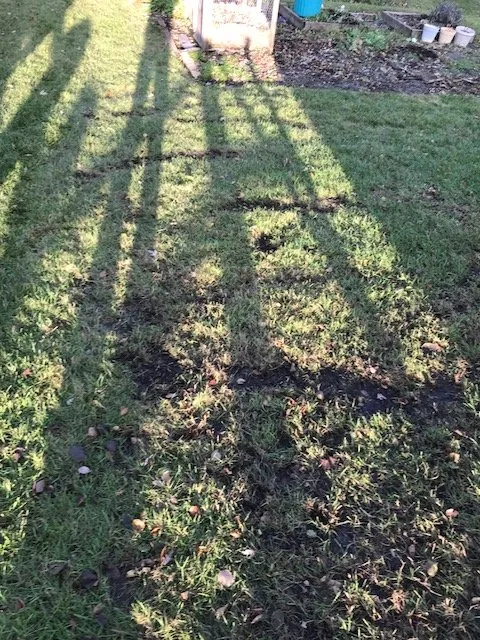 Custom landscape installation in Huxley, IA by Pitts Lawn & Tree Service