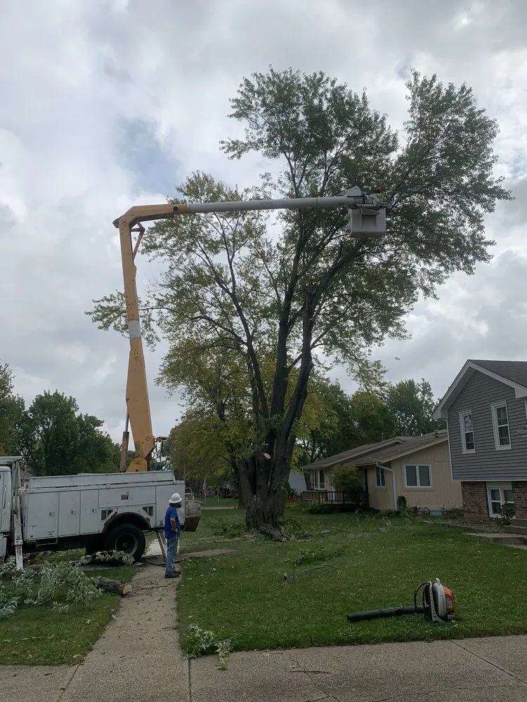 Expert landscape design in Huxley, IA - Pitts Lawn & Tree Service