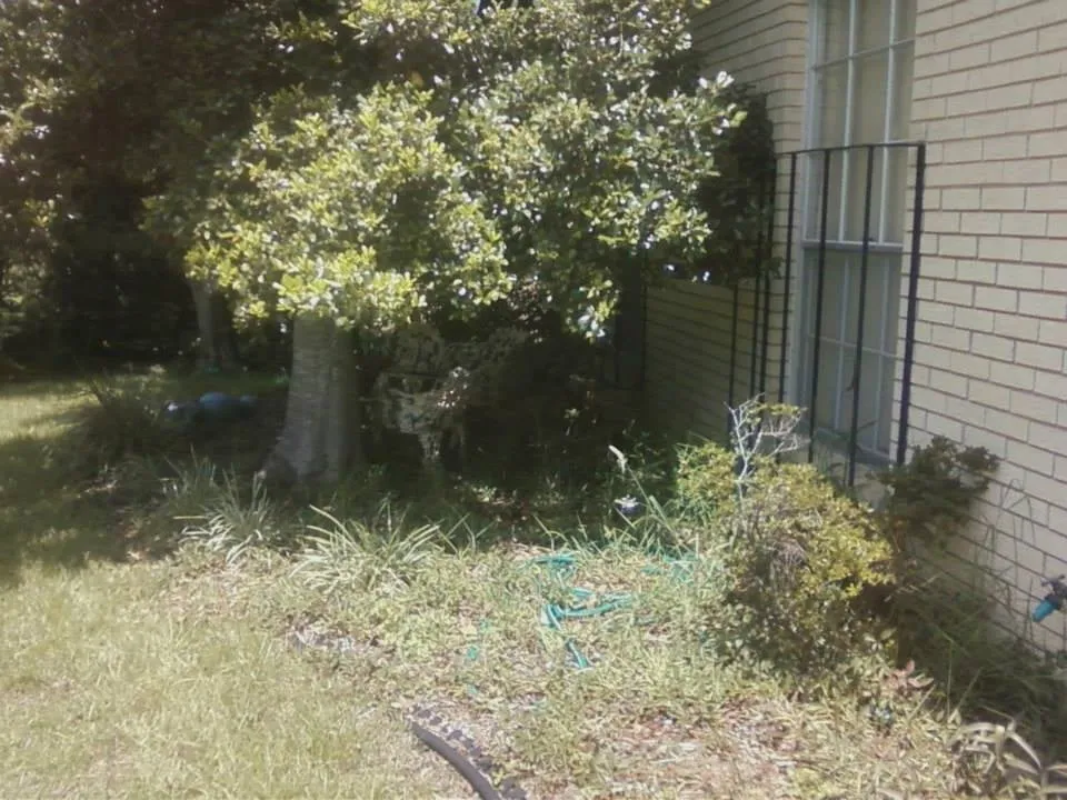 Professional yard maintenance in Lynn Haven, FL - Pitts Lawn Service