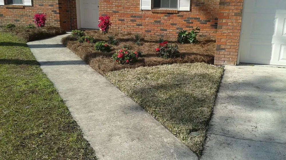 Reliable landscape installation for year-round maintenance across Lynn Haven, FL - Pitts Lawn Service