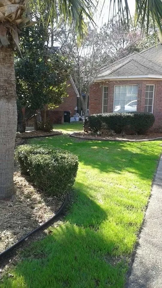 Trusted landscape design for beautiful yards in Lynn Haven, FL by Pitts Lawn Service