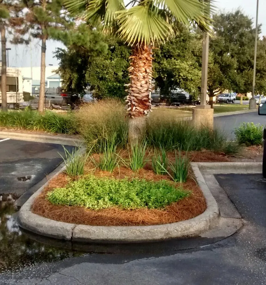 Affordable lawn care service in Lynn Haven, FL by Pitts Lawn Service