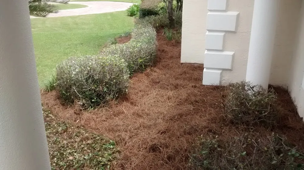 Local yard maintenance in Lynn Haven, FL - Pitts Lawn Service