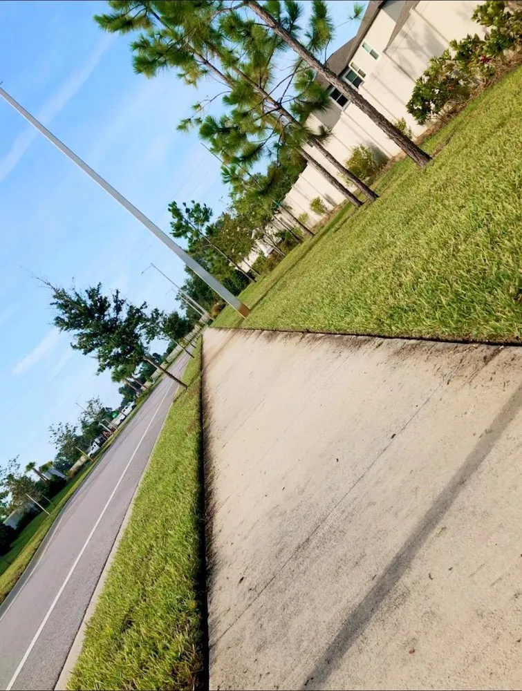 Local landscaping services for residential properties in Hillsborough, FL by Pitts Precision Lawn Services