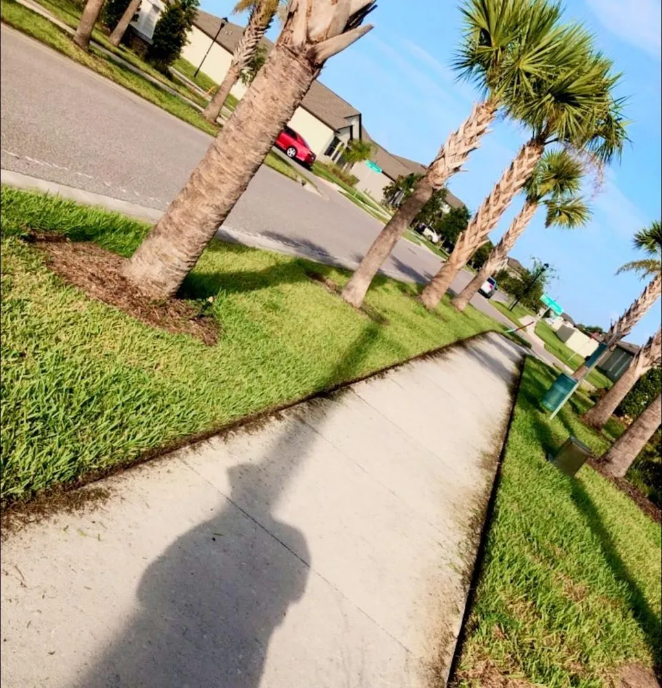 Expert garden landscaping in Hillsborough, FL - Pitts Precision Lawn Services