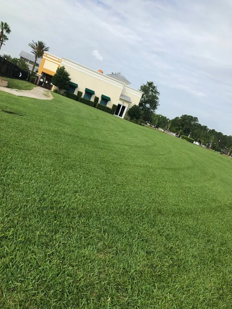 Top-rated landscaping services in Hillsborough, FL by Pitts Precision Lawn Services