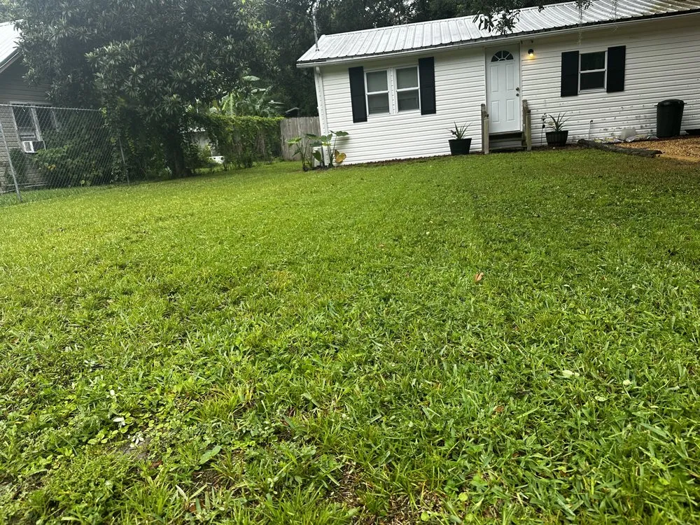 Expert outdoor landscaping for residential properties across Hillsborough, FL - Pitts Precision Lawn Services
