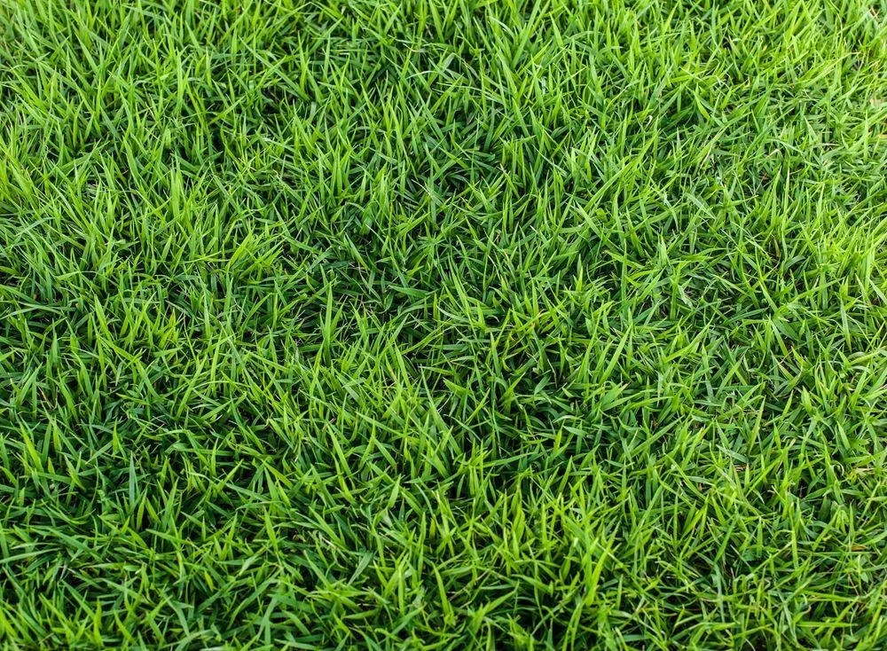 Custom lawn care service for year-round maintenance in Wexford, PA by Pittsburgh Hydroseeding