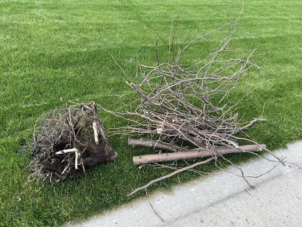 Top-rated residential landscaping in Mendon, NY - Pittsford Tree & Landscape