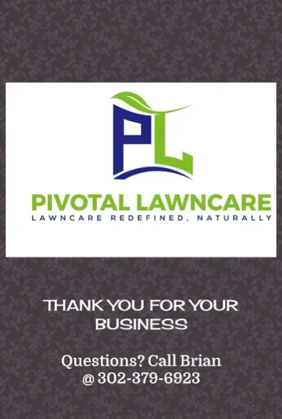 Professional yard cleanup service in Central, LA by Pivotal Lawncare