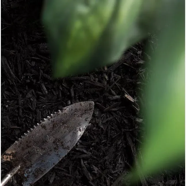 Local landscaping services for residential properties across Central, LA - Pivotal Lawncare