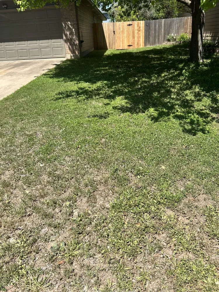 Trusted lawn care service in Bastrop, TX by Pizano Landscape