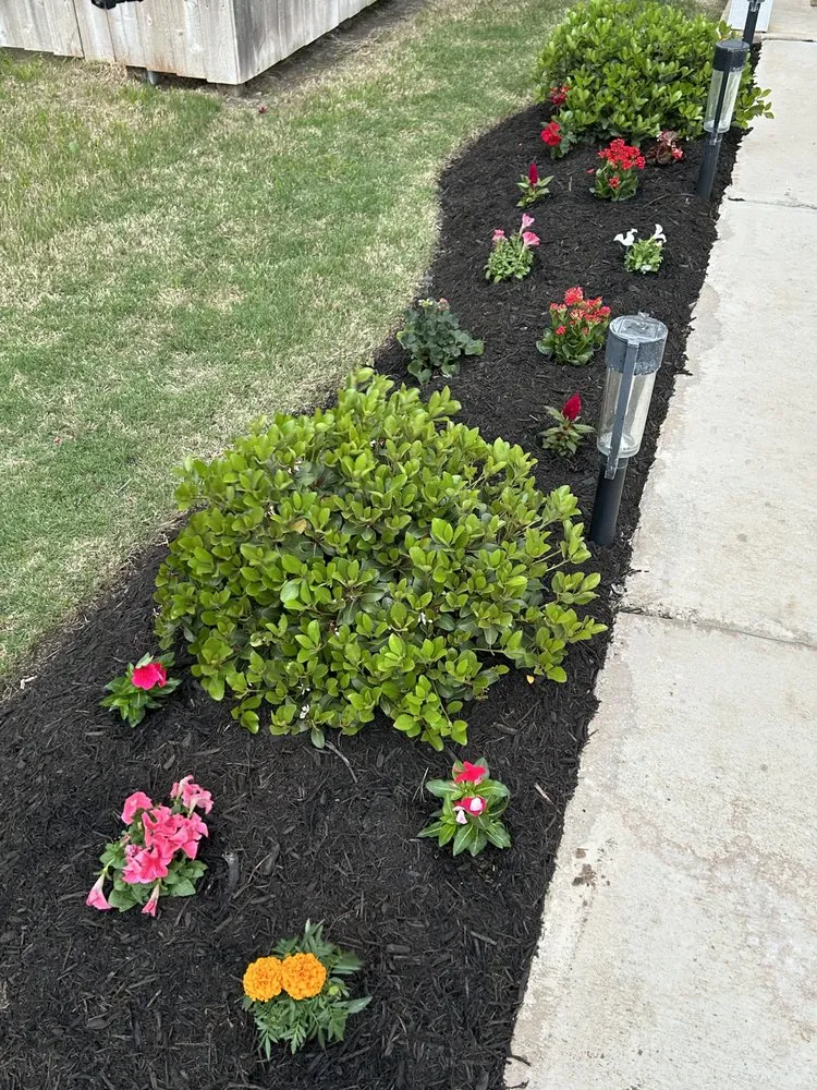 Affordable residential landscaping near you in Bastrop, TX by Pizano Landscape