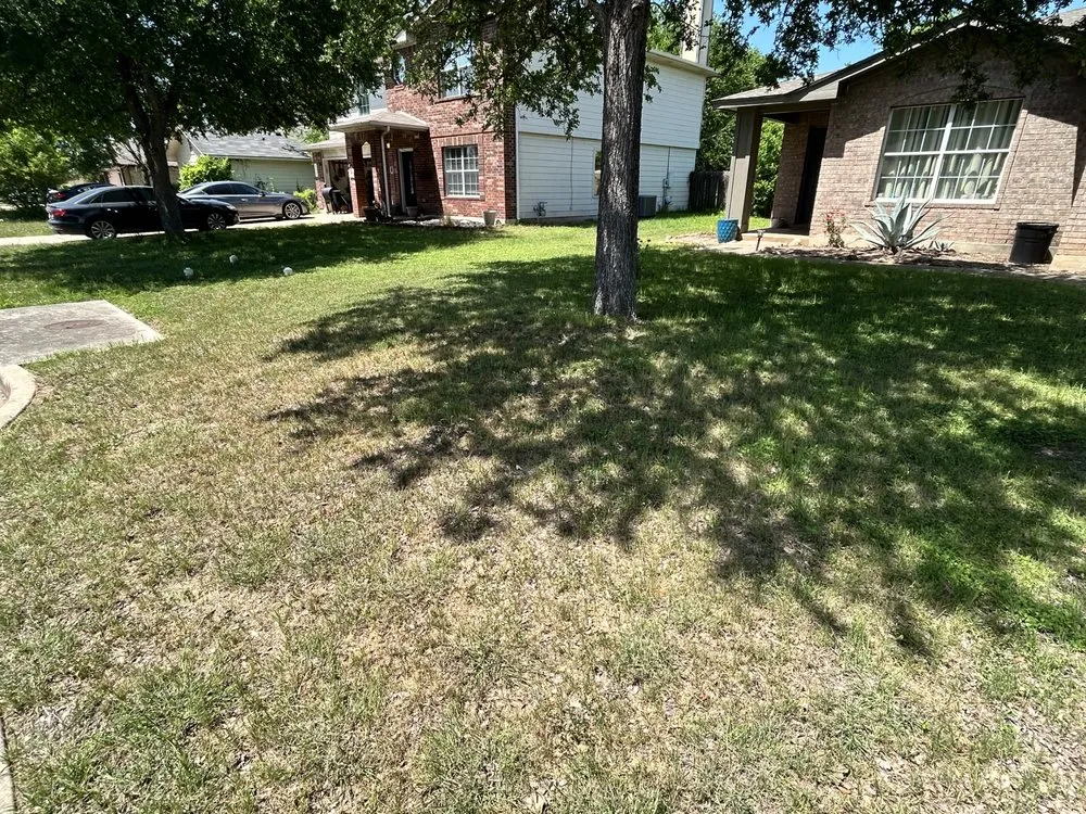 Local landscape installation in Bastrop, TX - Pizano Landscape