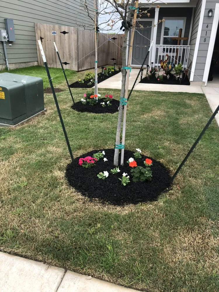 Local landscaping services in Bastrop, TX - Pizano Landscape