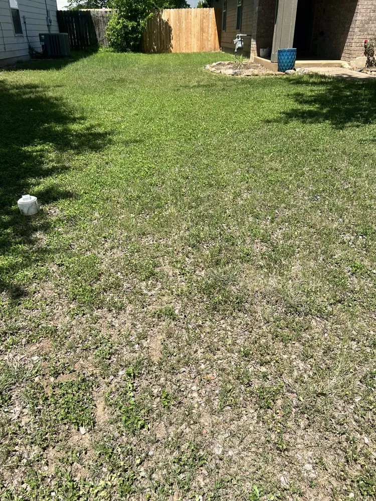 Custom landscape design in Bastrop, TX - Pizano Landscape