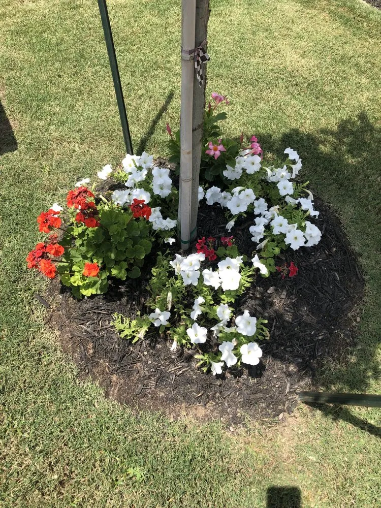 Top-rated lawn care service with custom design in Bastrop, TX by Pizano Landscape