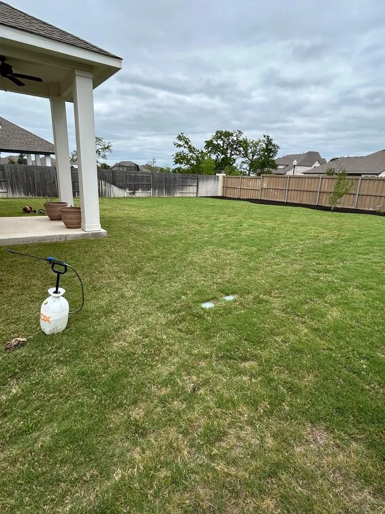 Professional garden landscaping for year-round maintenance across Bastrop, TX - Pizano Landscape